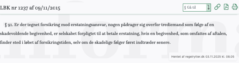 Screenshot af § 91. fra retsinformation.dk