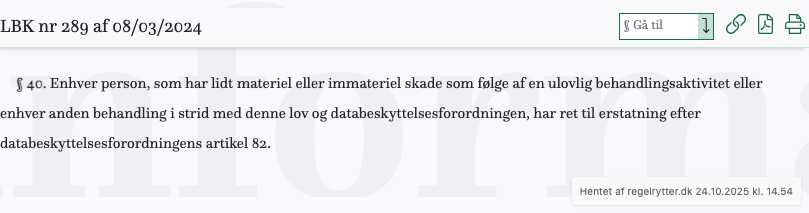 Screenshot af § 40. fra retsinformation.dk