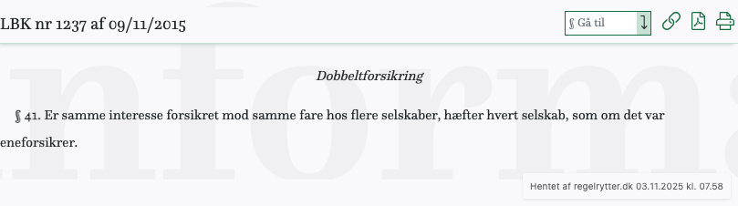 Screenshot af § 41. fra retsinformation.dk