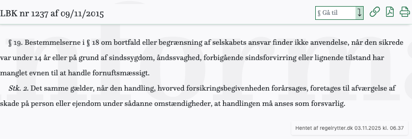 Screenshot af § 19. fra retsinformation.dk