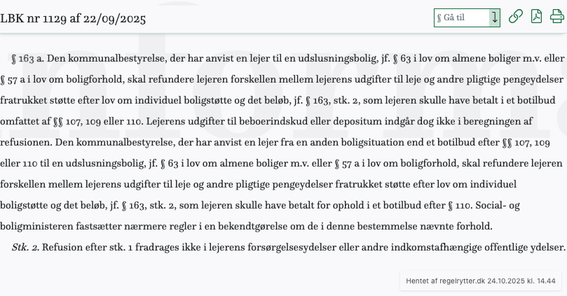 Screenshot af § 163 a. fra retsinformation.dk