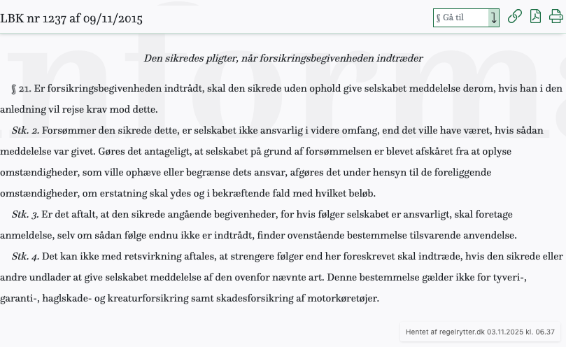 Screenshot af § 21. fra retsinformation.dk