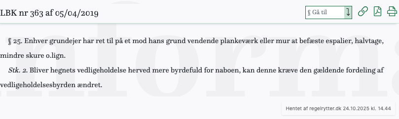 Screenshot af § 25. fra retsinformation.dk