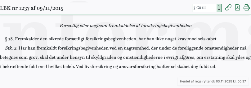Screenshot af § 18. fra retsinformation.dk