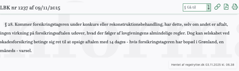 Screenshot af § 28. fra retsinformation.dk