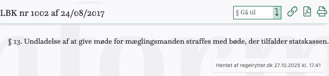 Screenshot af § 13. fra retsinformation.dk