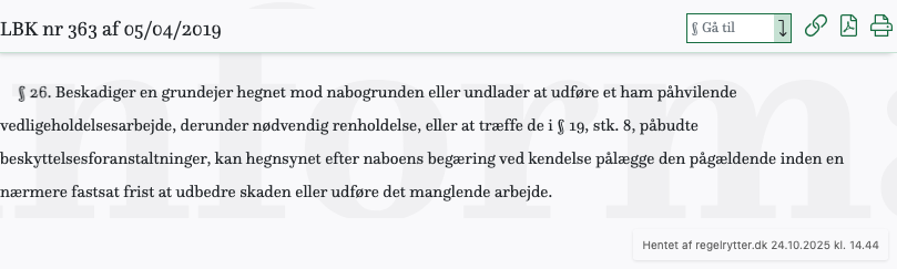 Screenshot af § 26. fra retsinformation.dk