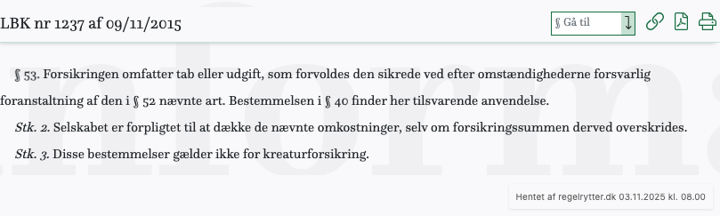 Screenshot af § 53. fra retsinformation.dk