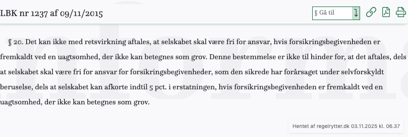 Screenshot af § 20. fra retsinformation.dk