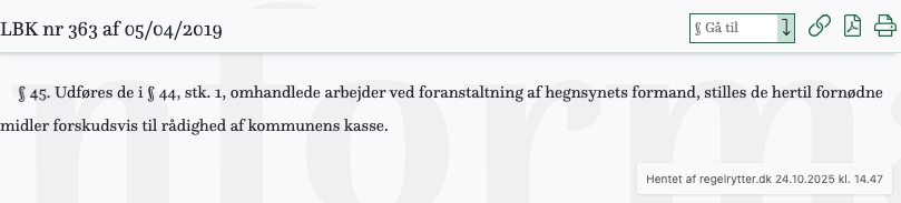 Screenshot af § 45. fra retsinformation.dk