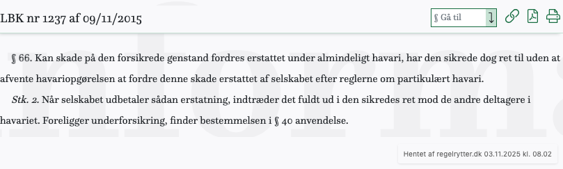 Screenshot af § 66. fra retsinformation.dk