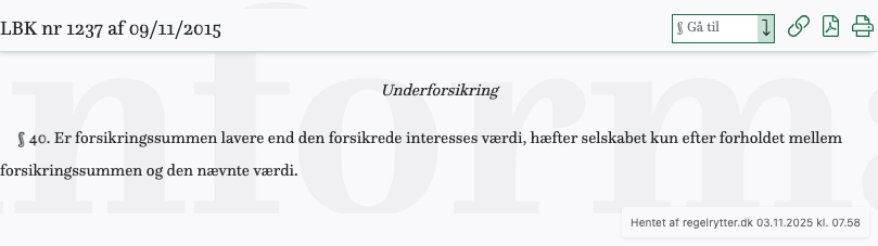 Screenshot af § 40. fra retsinformation.dk