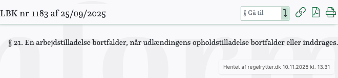 Screenshot af § 21. fra retsinformation.dk
