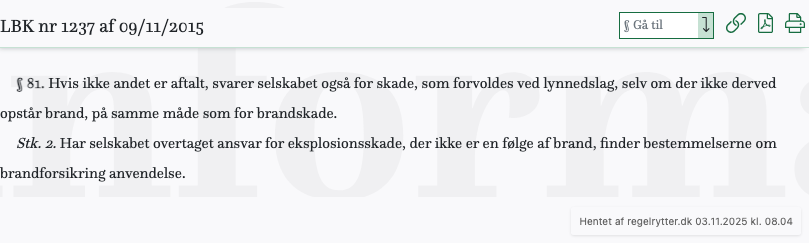 Screenshot af § 81. fra retsinformation.dk
